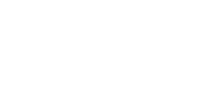 ELite Service Logo