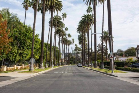 California palms street
