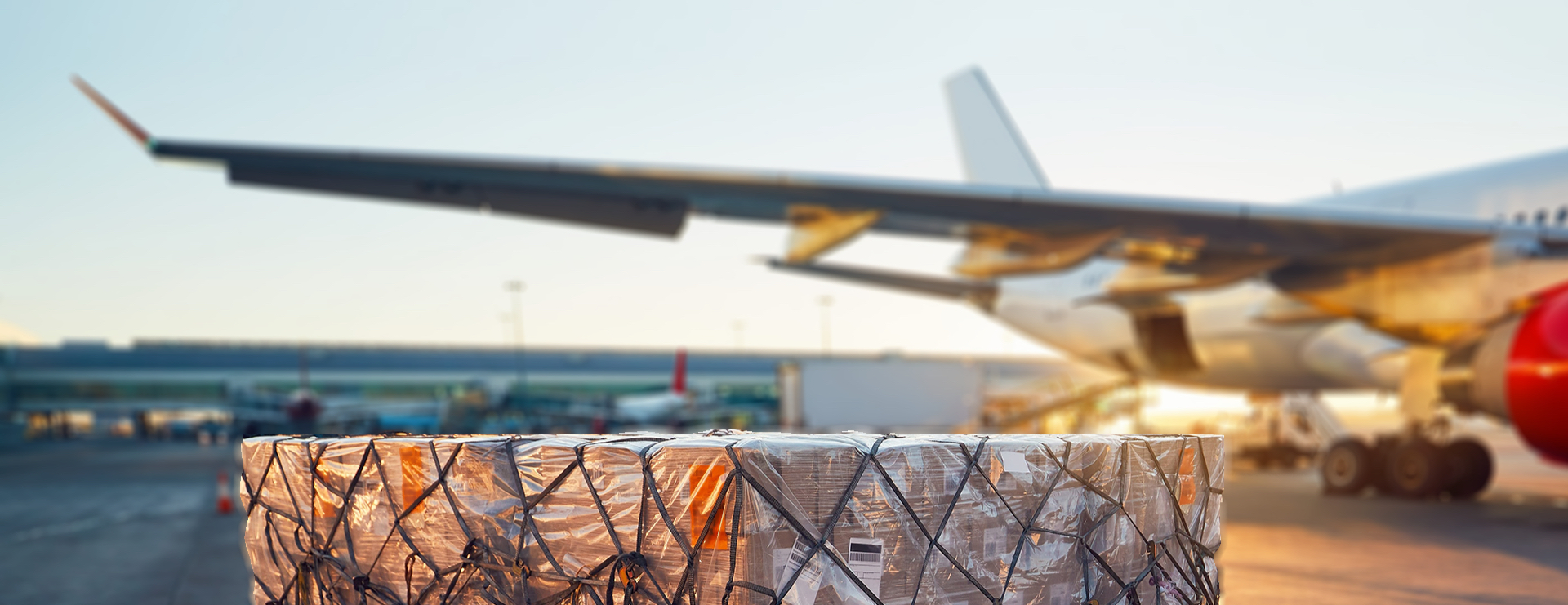 International Movers NYC Overseas Moving Company