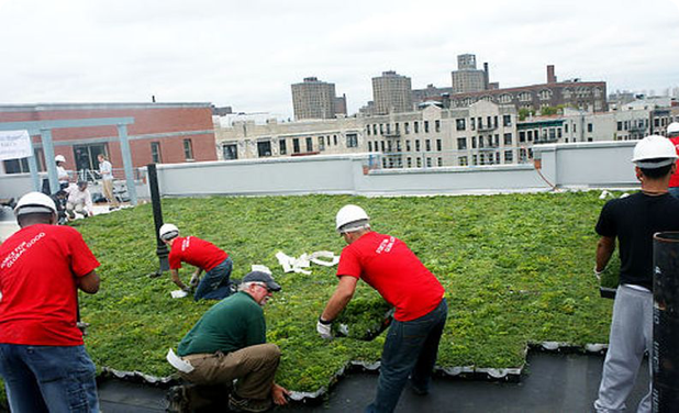 FlatRate movers help garden