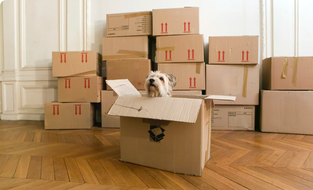 Packed boxes sit in a living room