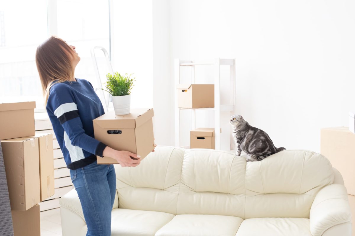 Moving Yourself vs. Hiring a Moving Company FlatRate Moving