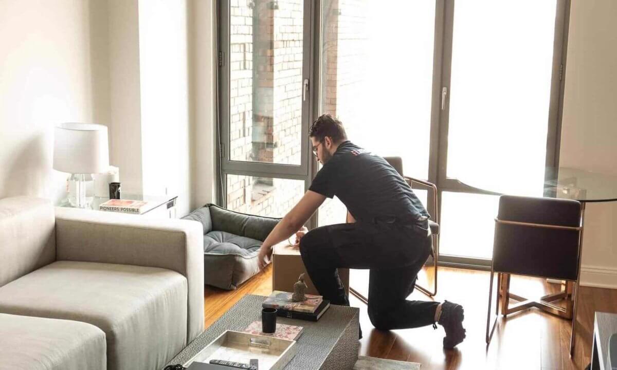 Mover packing the dog bed