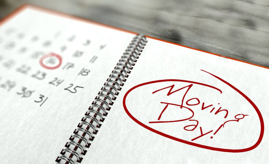 Apartment Moving Timeline Flatrate Moving