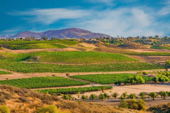 temecula california vineyards e1 1 California Dreamin’? We’ll Help You Choose a City
