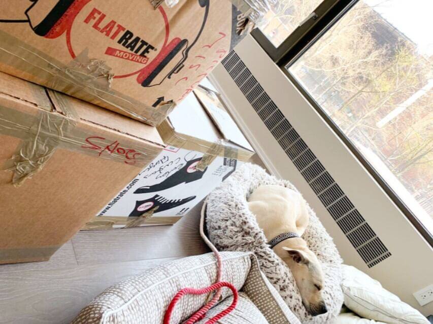 The Best Moving Service In Atlanta FlatRate Moving