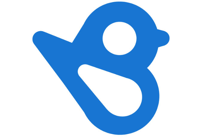 Birdeye Logo